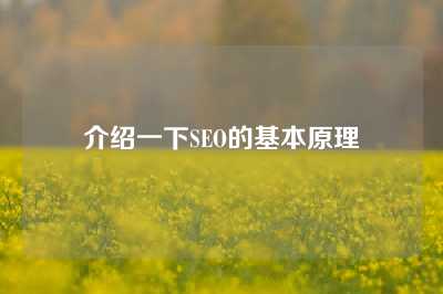 介绍一下SEO的基本原理