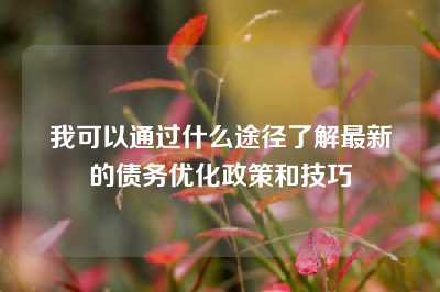 我可以通过什么途径了解最新的债务优化政策和技巧