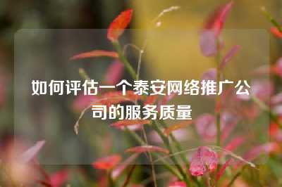 如何评估一个泰安网络推广公司的服务质量