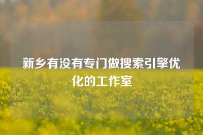 新乡有没有专门做搜索引擎优化的工作室