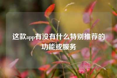 这款app有没有什么特别推荐的功能或服务