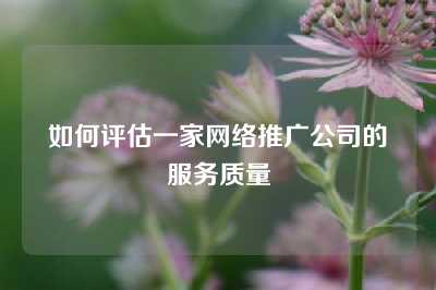 如何评估一家网络推广公司的服务质量