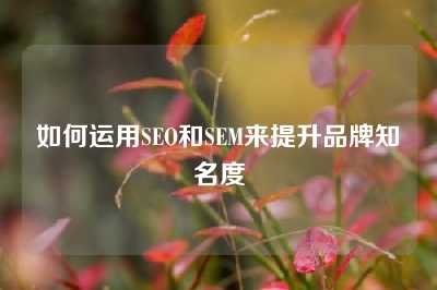 如何运用SEO和SEM来提升品牌知名度