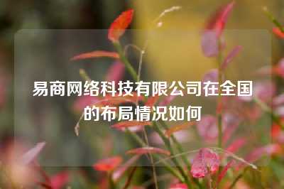 易商网络科技有限公司在全国的布局情况如何