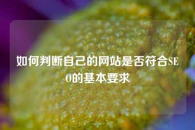 如何判断自己的网站是否符合SEO的基本要求