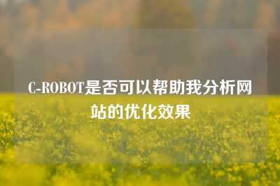 C-ROBOT是否可以帮助我分析网站的优化效果