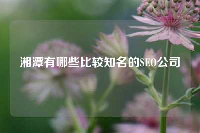 湘潭有哪些比较知名的SEO公司