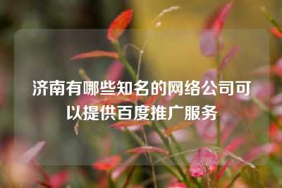 济南有哪些知名的网络公司可以提供百度推广服务