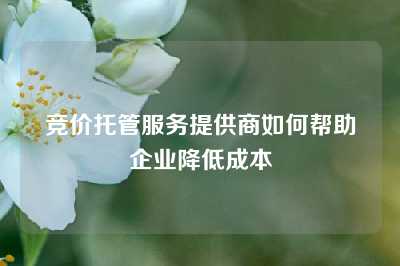 竞价托管服务提供商如何帮助企业降低成本