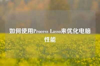 如何使用Process Lasso来优化电脑性能