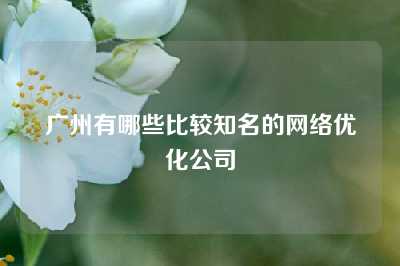 广州有哪些比较知名的网络优化公司