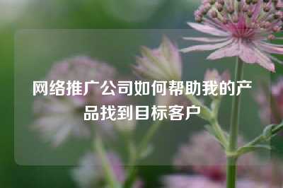 网络推广公司如何帮助我的产品找到目标客户