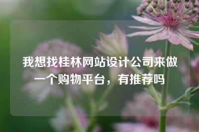 我想找桂林网站设计公司来做一个购物平台，有推荐吗