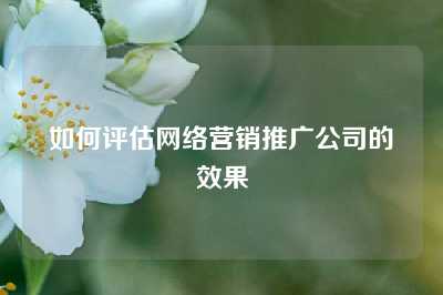 如何评估网络营销推广公司的效果