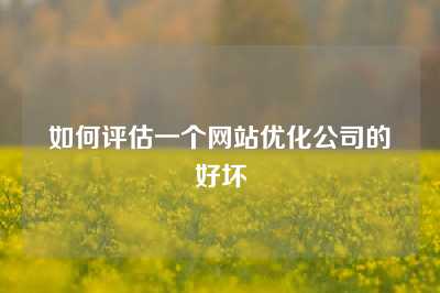 如何评估一个网站优化公司的好坏