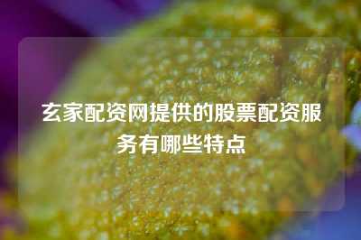 玄家配资网提供的股票配资服务有哪些特点