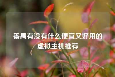 番禺有没有什么便宜又好用的虚拟主机推荐