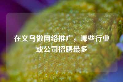 在义乌做网络推广，哪些行业或公司招聘最多