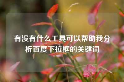 有没有什么工具可以帮助我分析百度下拉框的关键词