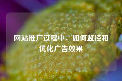 网站推广过程中，如何监控和优化广告效果