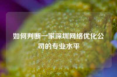 如何判断一家深圳网络优化公司的专业水平