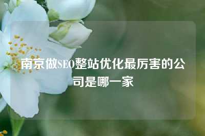 南京做SEO整站优化最厉害的公司是哪一家