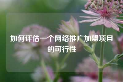 如何评估一个网络推广加盟项目的可行性