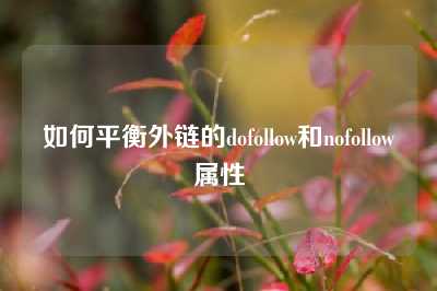 如何平衡外链的dofollow和nofollow属性