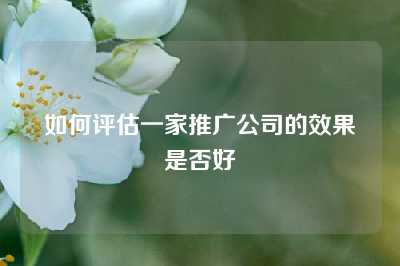 如何评估一家推广公司的效果是否好