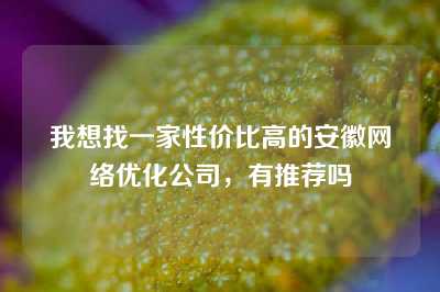 我想找一家性价比高的安徽网络优化公司，有推荐吗