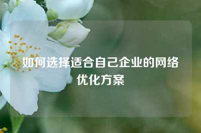 如何选择适合自己企业的网络优化方案