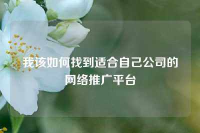 我该如何找到适合自己公司的网络推广平台