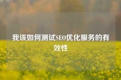 我该如何测试SEO优化服务的有效性