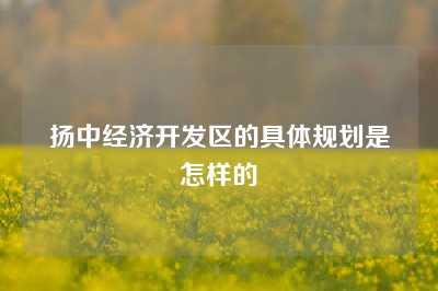 扬中经济开发区的具体规划是怎样的