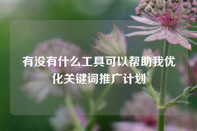 有没有什么工具可以帮助我优化关键词推广计划