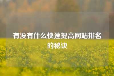 有没有什么快速提高网站排名的秘诀