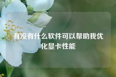 有没有什么软件可以帮助我优化显卡性能