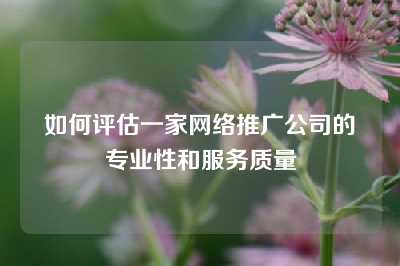 如何评估一家网络推广公司的专业性和服务质量