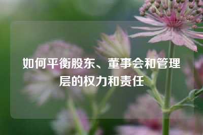 如何平衡股东、董事会和管理层的权力和责任