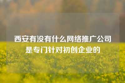 西安有没有什么网络推广公司是专门针对初创企业的