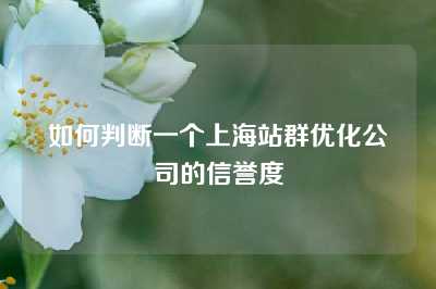 如何判断一个上海站群优化公司的信誉度