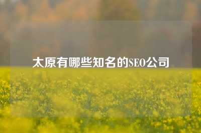 太原有哪些知名的SEO公司