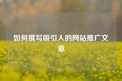 如何撰写吸引人的网站推广文章