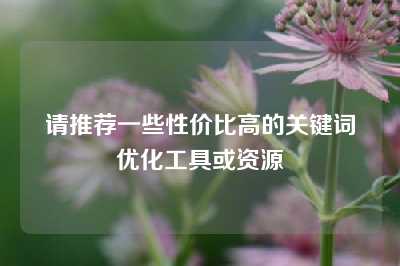 请推荐一些性价比高的关键词优化工具或资源