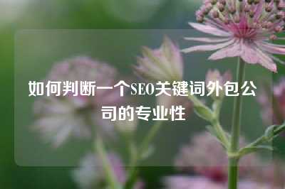 如何判断一个SEO关键词外包公司的专业性