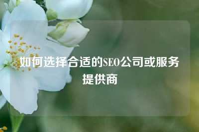 如何选择合适的SEO公司或服务提供商