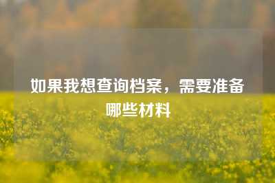 如果我想查询档案，需要准备哪些材料