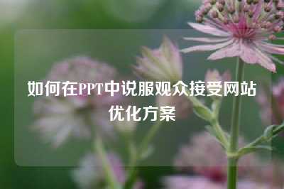 如何在PPT中说服观众接受网站优化方案