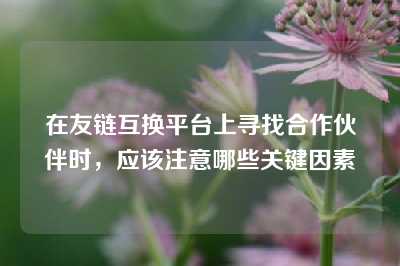 在友链互换平台上寻找合作伙伴时，应该注意哪些关键因素