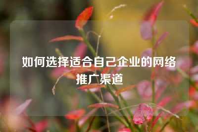 如何选择适合自己企业的网络推广渠道